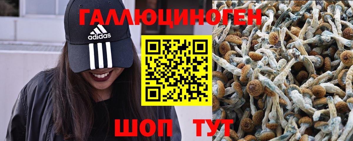 Каменск-Шахтинский  Галлюциногенные грибы мухоморы  Вход с VPN 