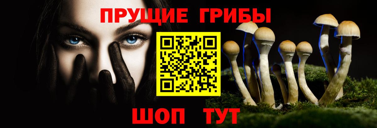 Галлюциногенные грибы ЛСД Каменск-Шахтинский